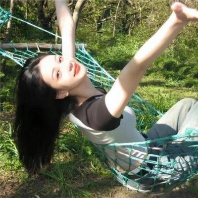 海豚的故事2